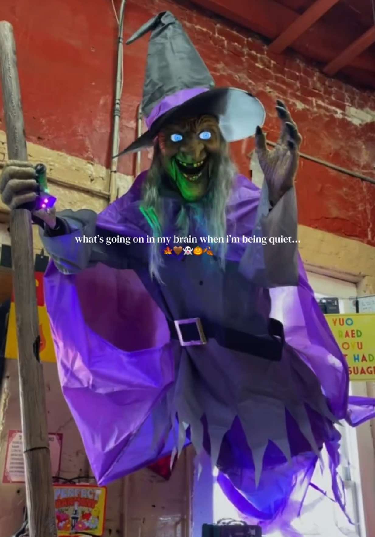 @⚡︎.✮꙳☠︎ 𝕞𝕠𝕝𝕝𝕫 ࿎✩꙳♱☽