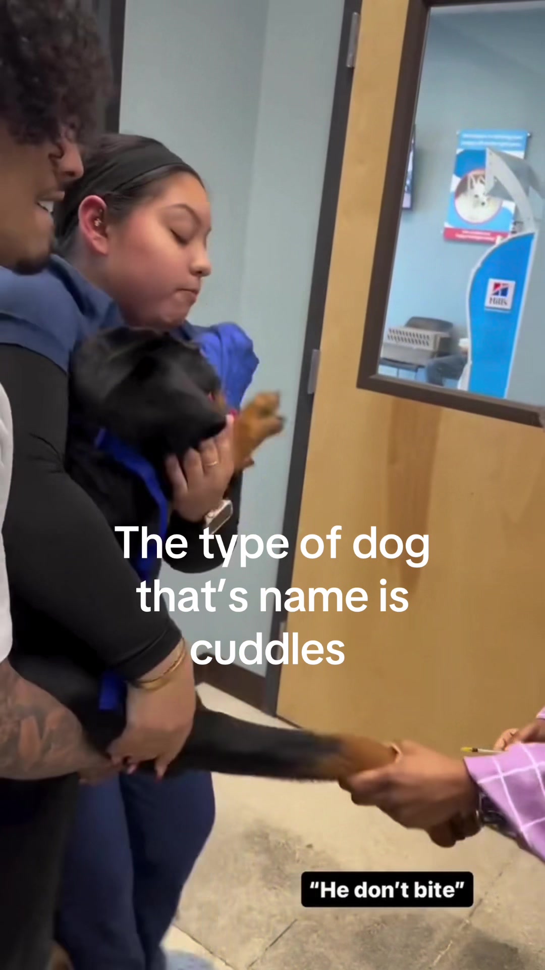 @K9stories