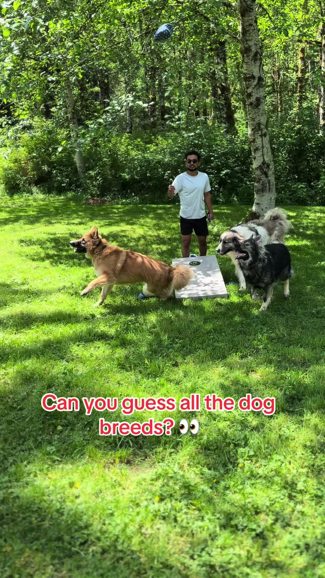 @shekharkarki