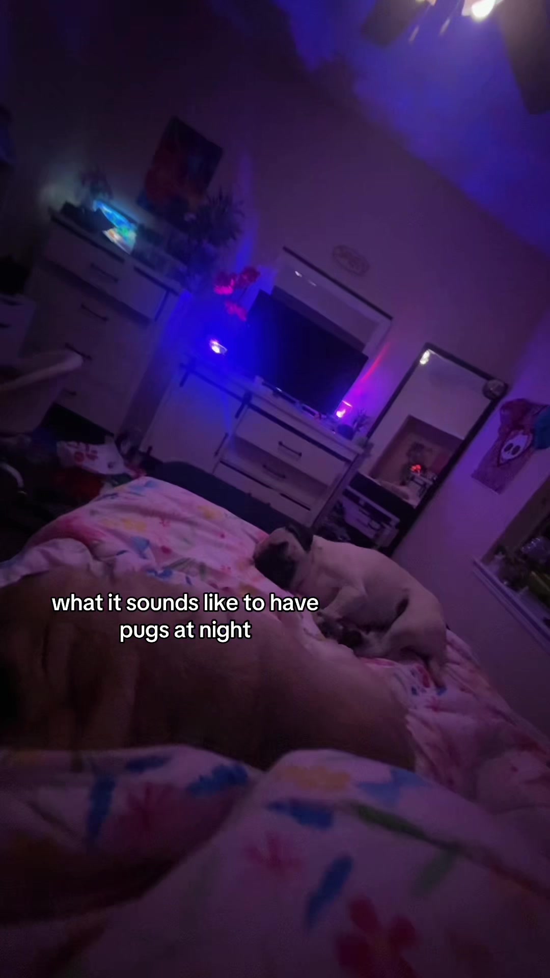 @lei
