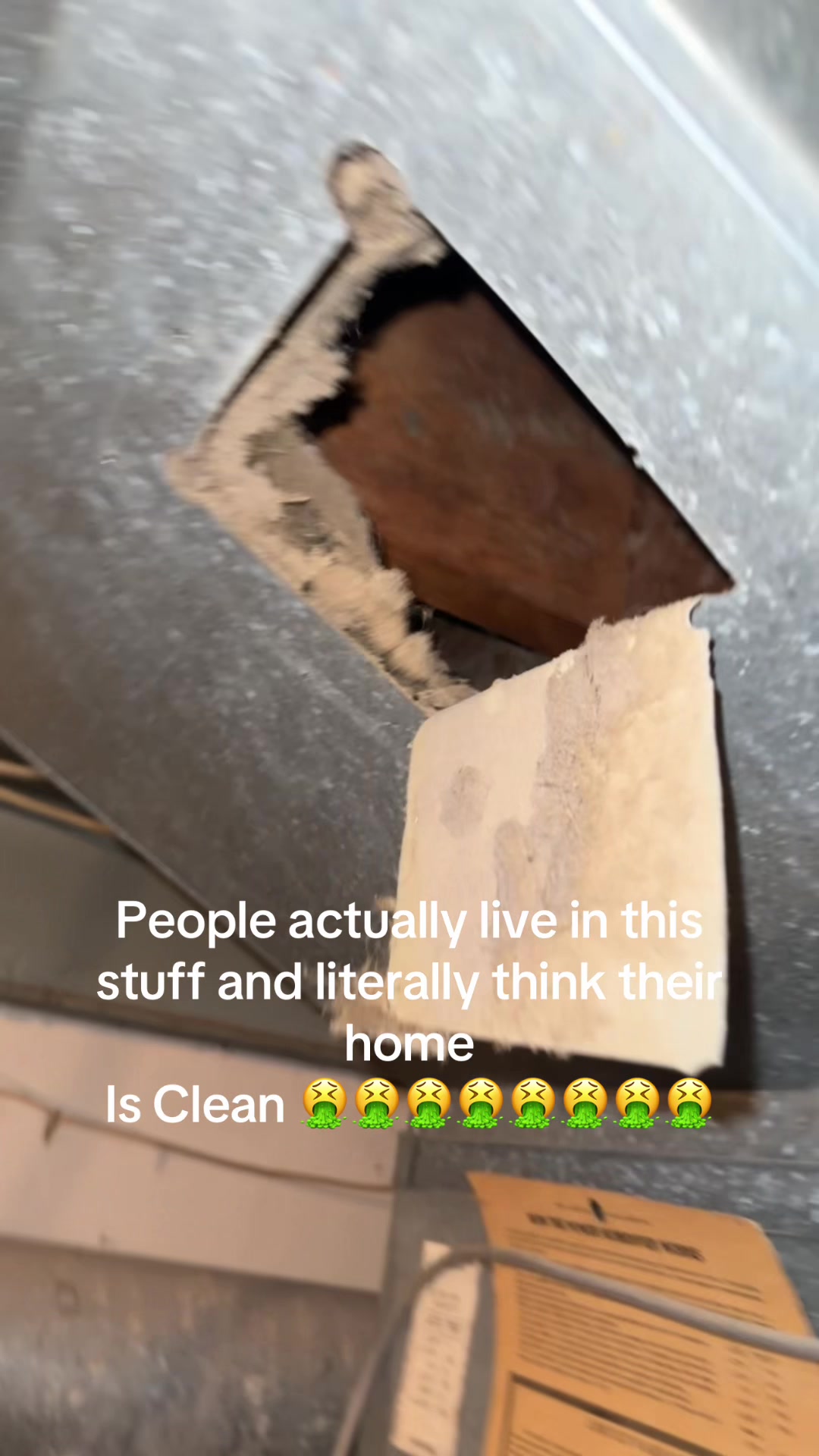 @Theductmanz