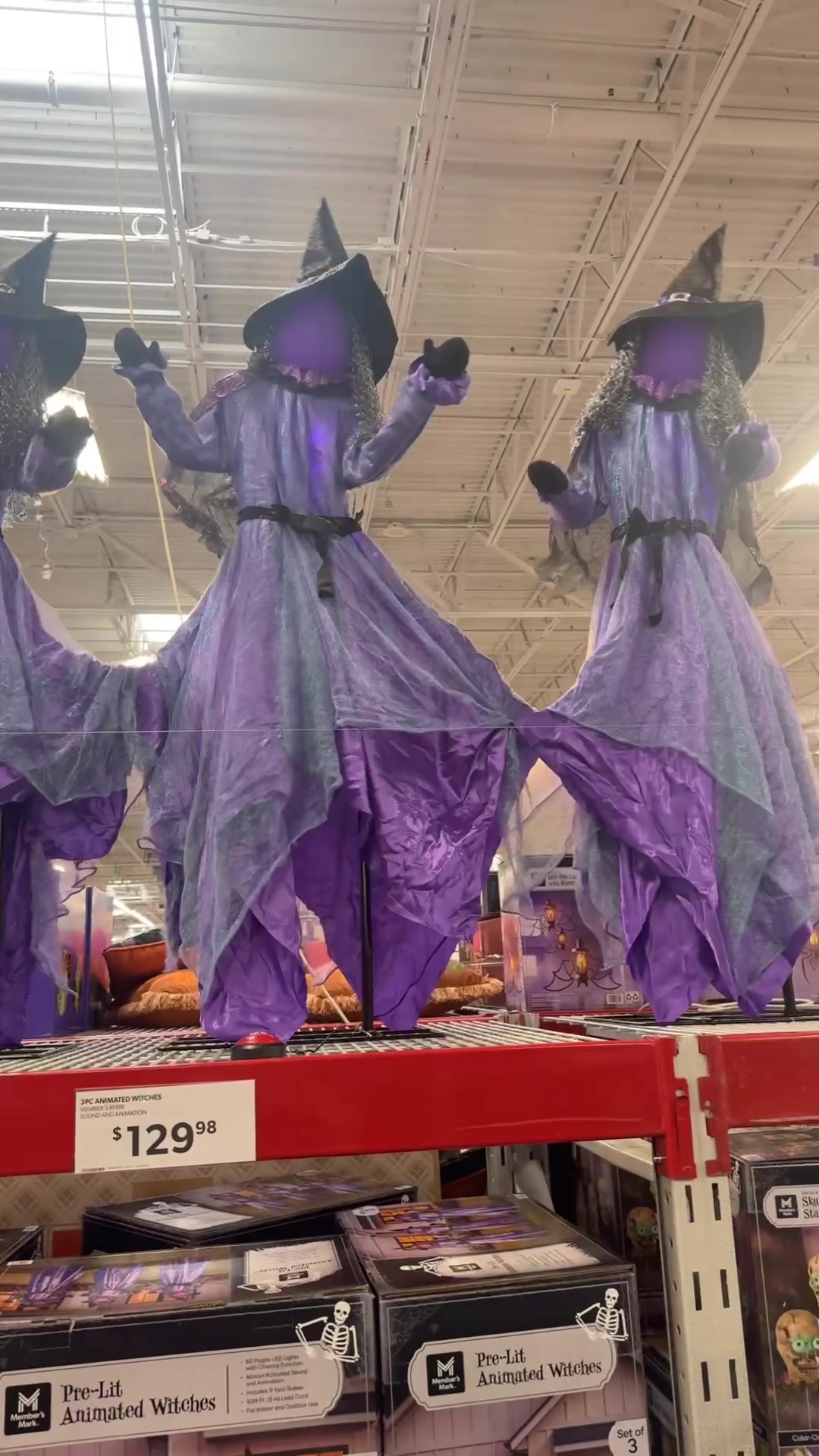 @Daily Dose Of SARAtonin🖤