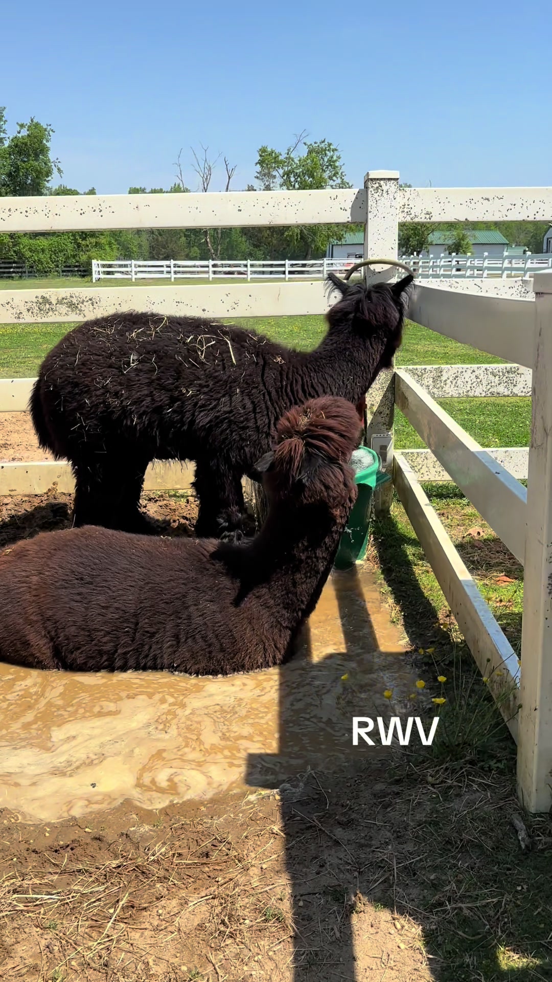 @RWV Land & Livestock