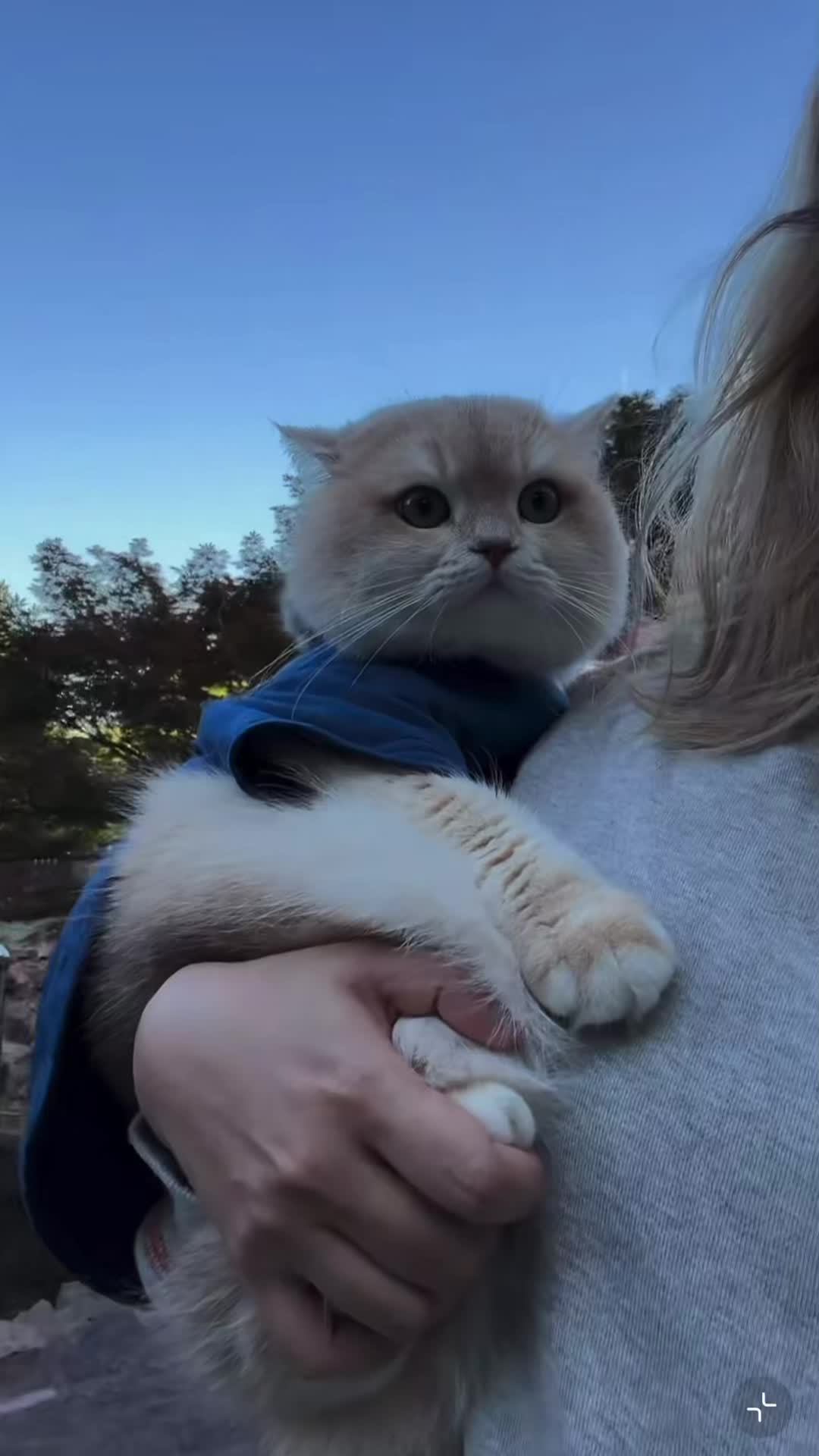 @My Daily Dose of Aww