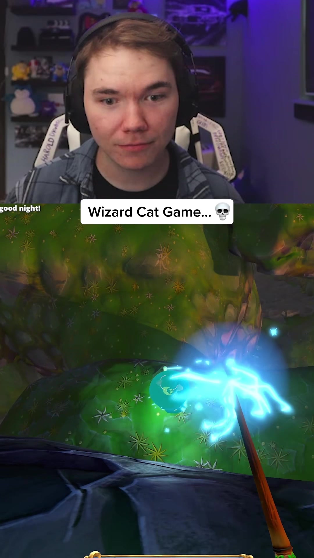 @LionHimself