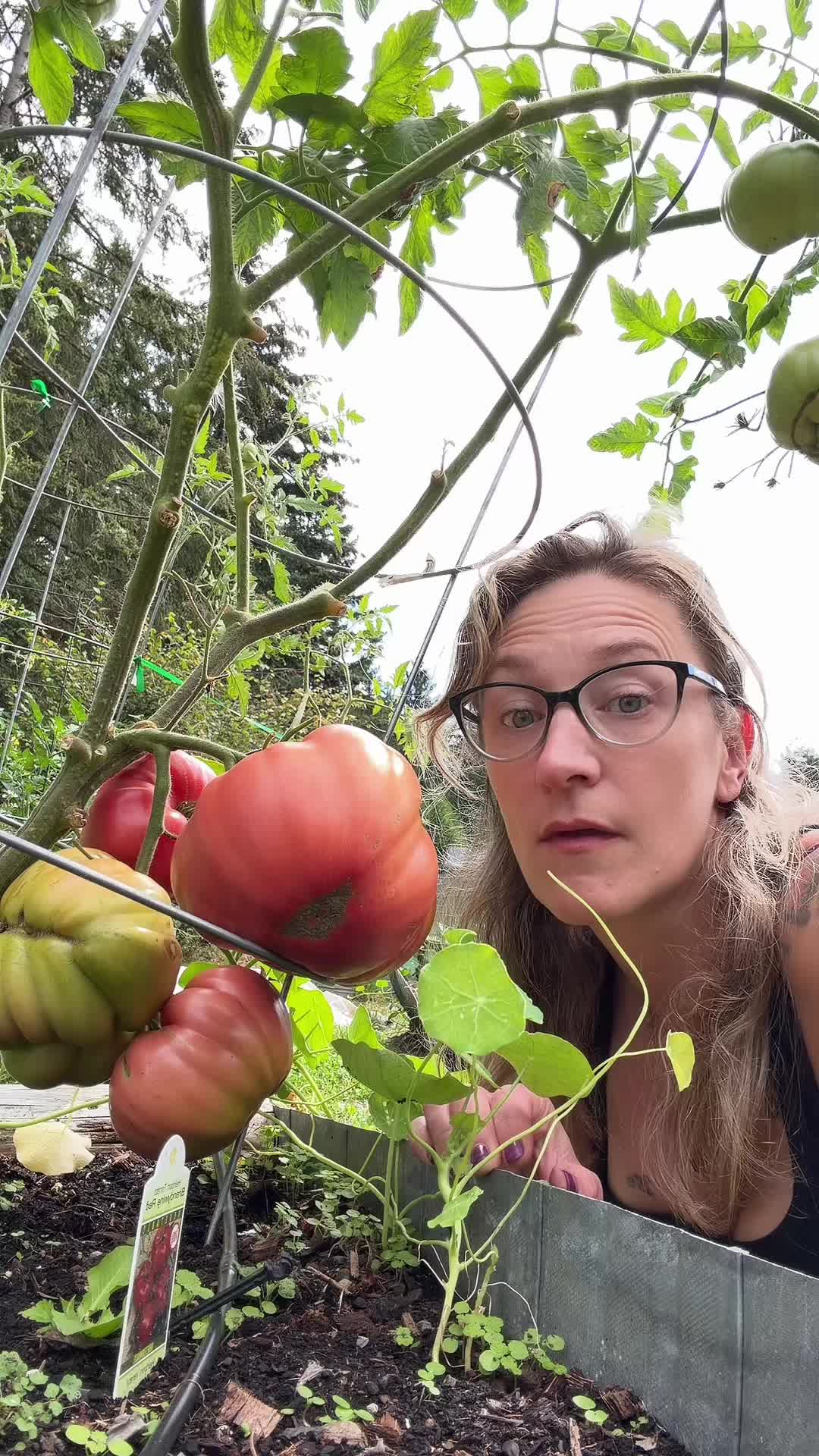@Lyndsey - Backyard Family Farm