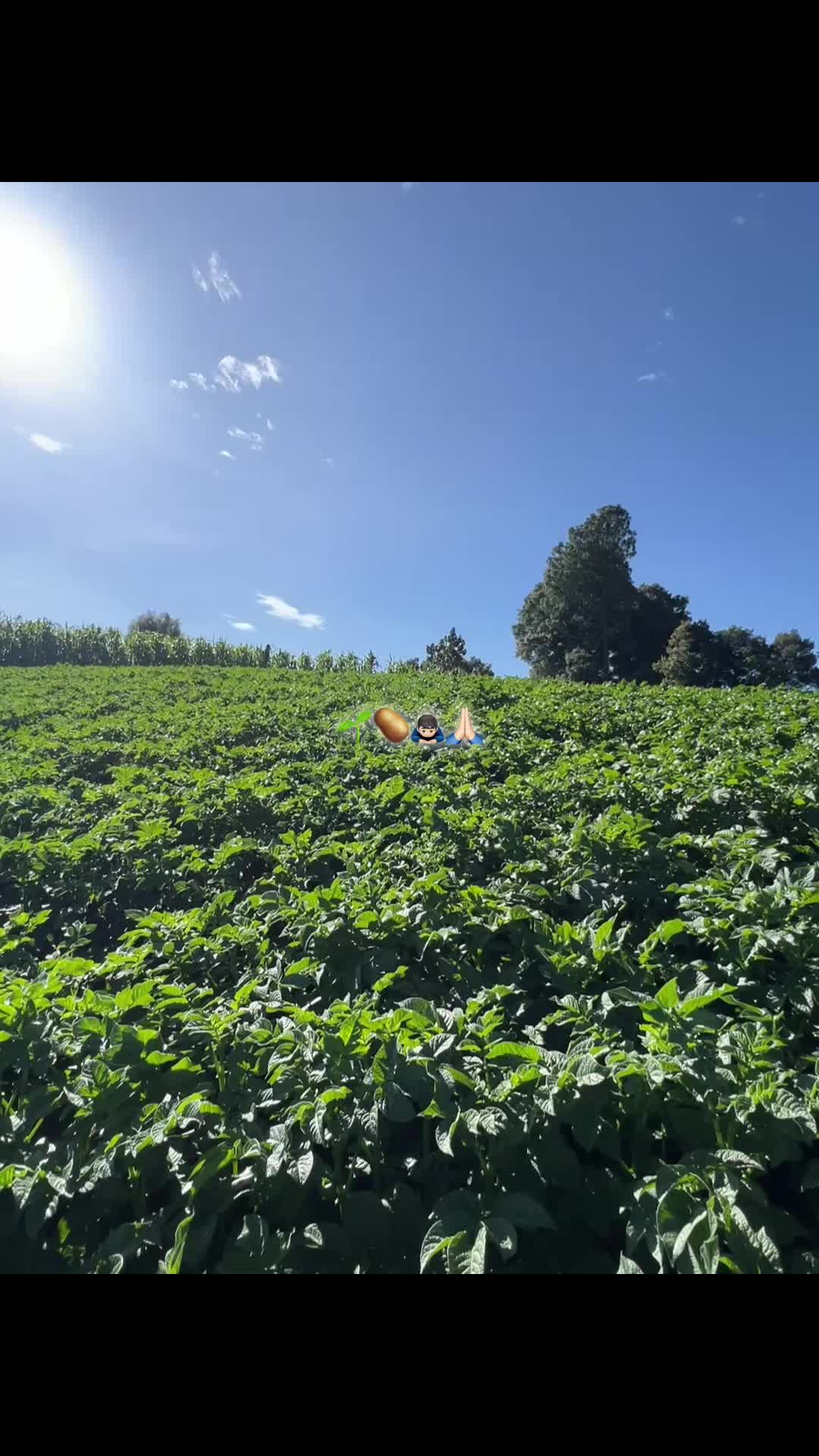@Victor🌱🚜