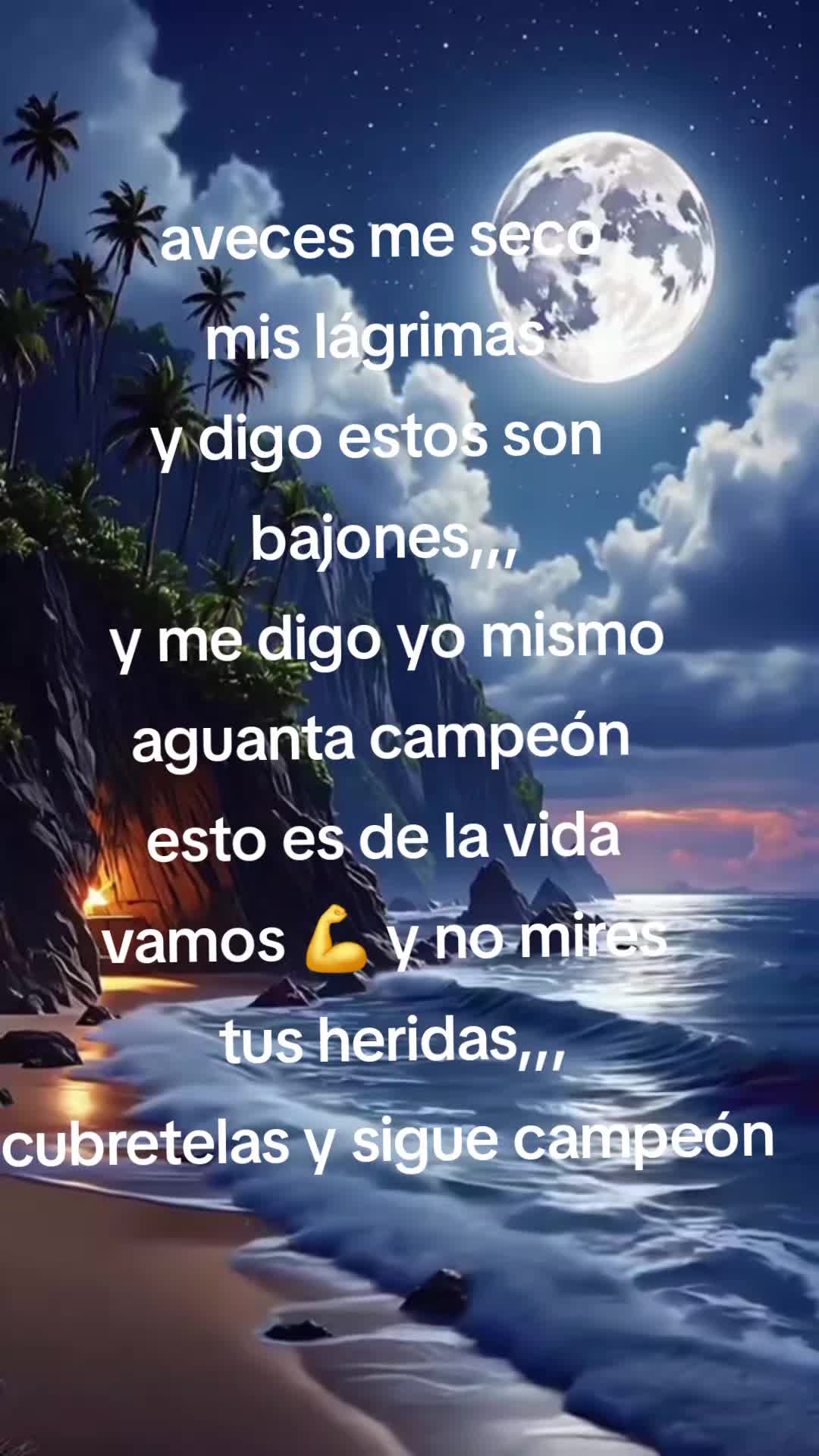@Carmelo Santos240