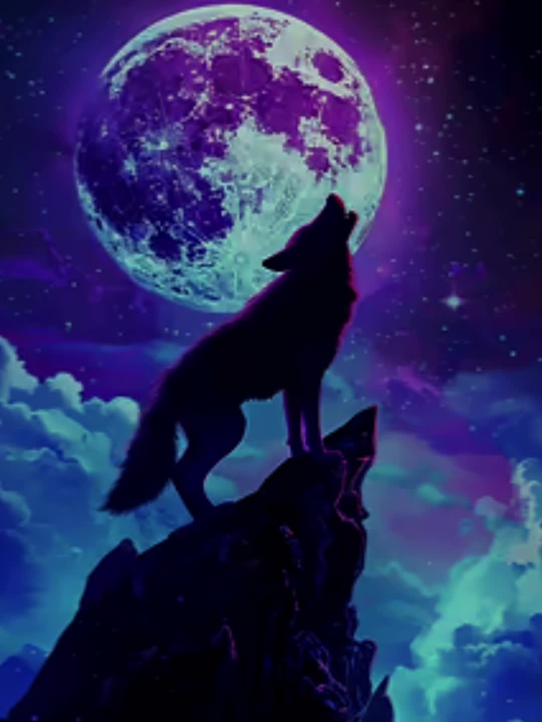 @🧨🐺Treyson_teamwolf🐺🧨
