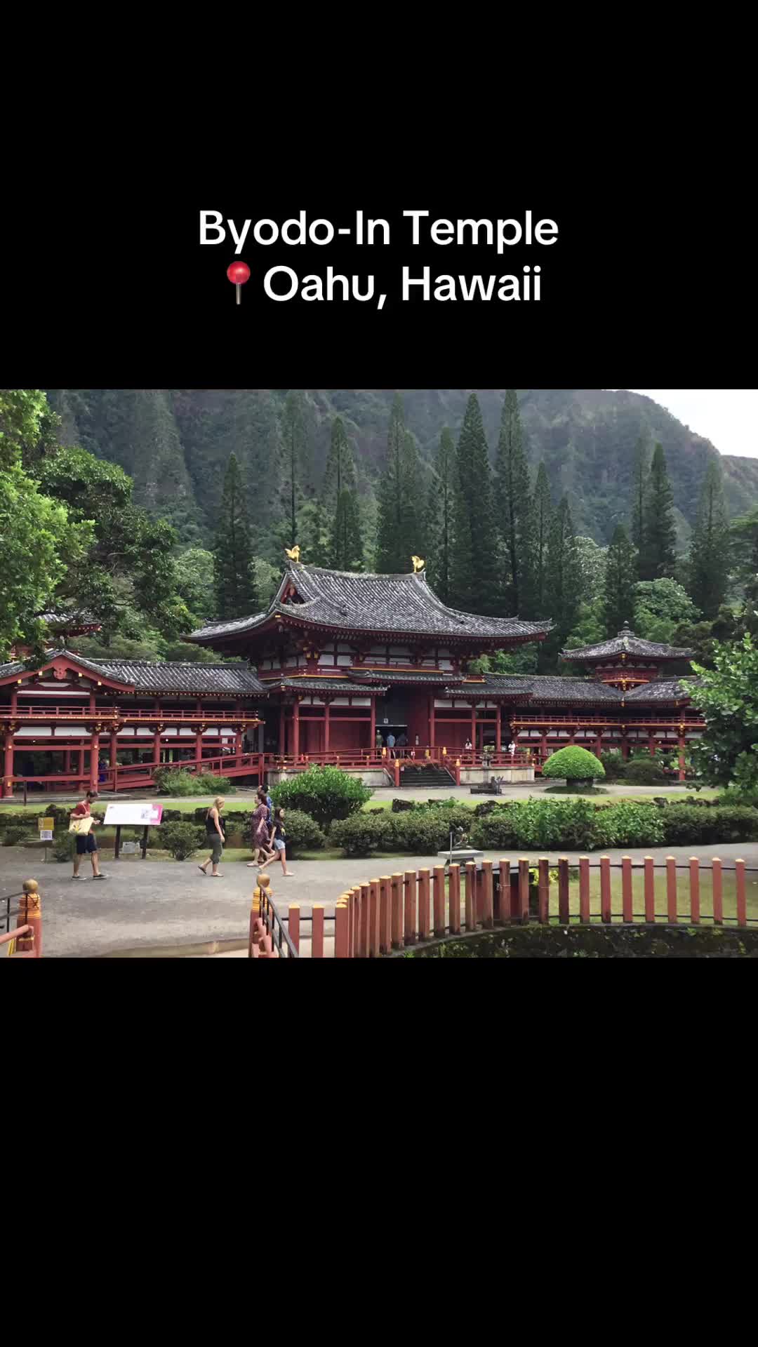 @Traci | Lions Gate Voyage