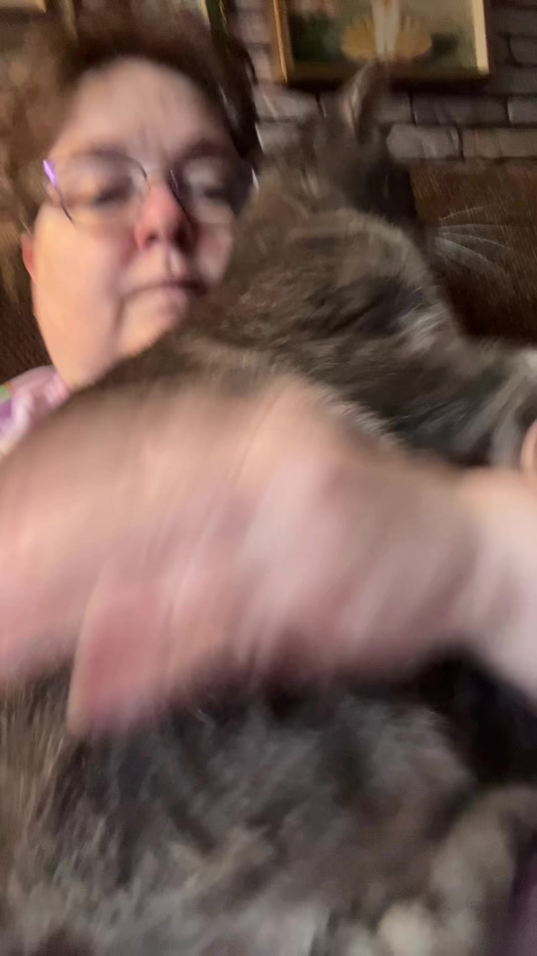 @steenercatmom