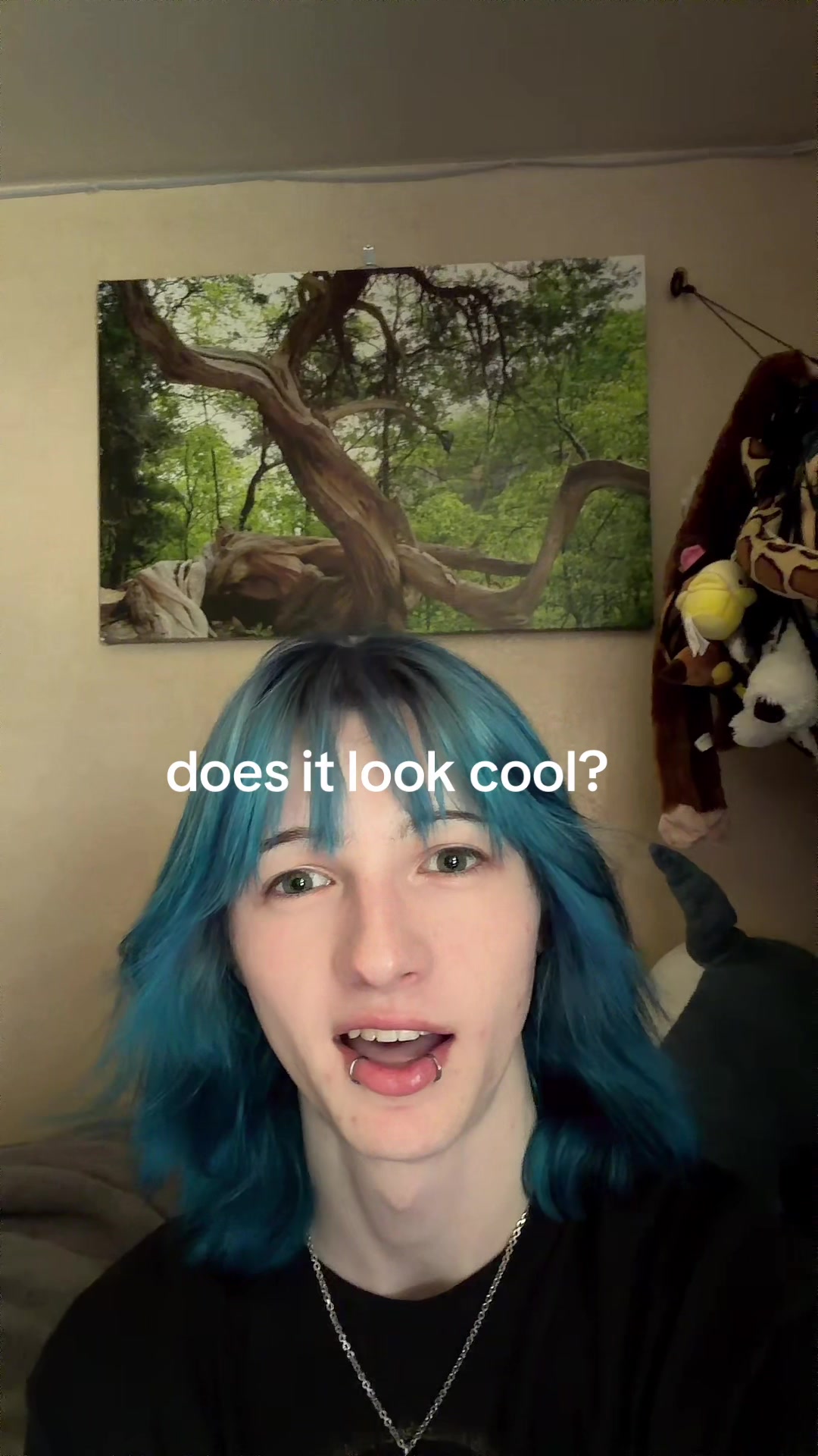 @ankreil