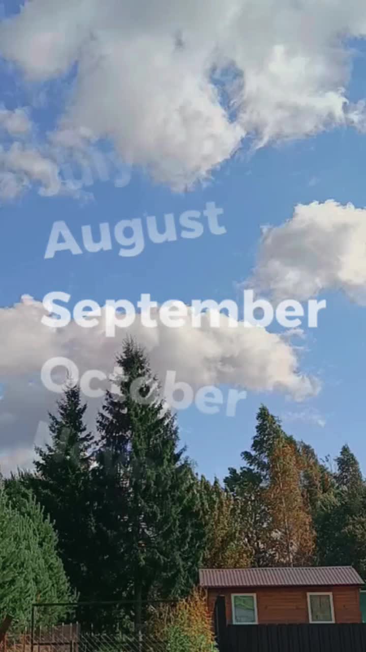 @belochka🐿️