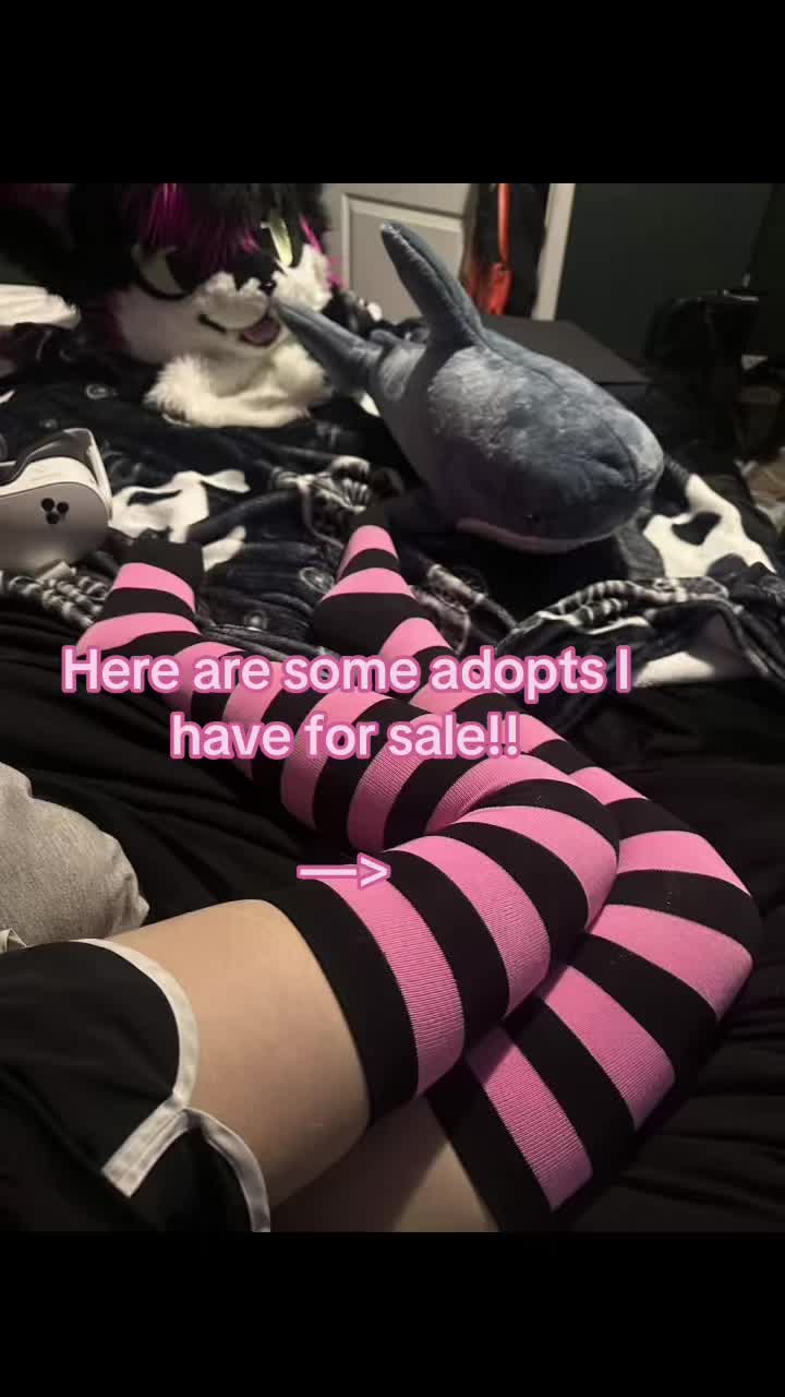 @✮彡🐾NOOT🐾✮彡