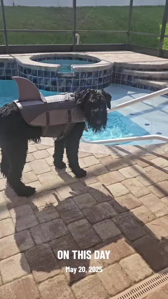 @FurMomLizz