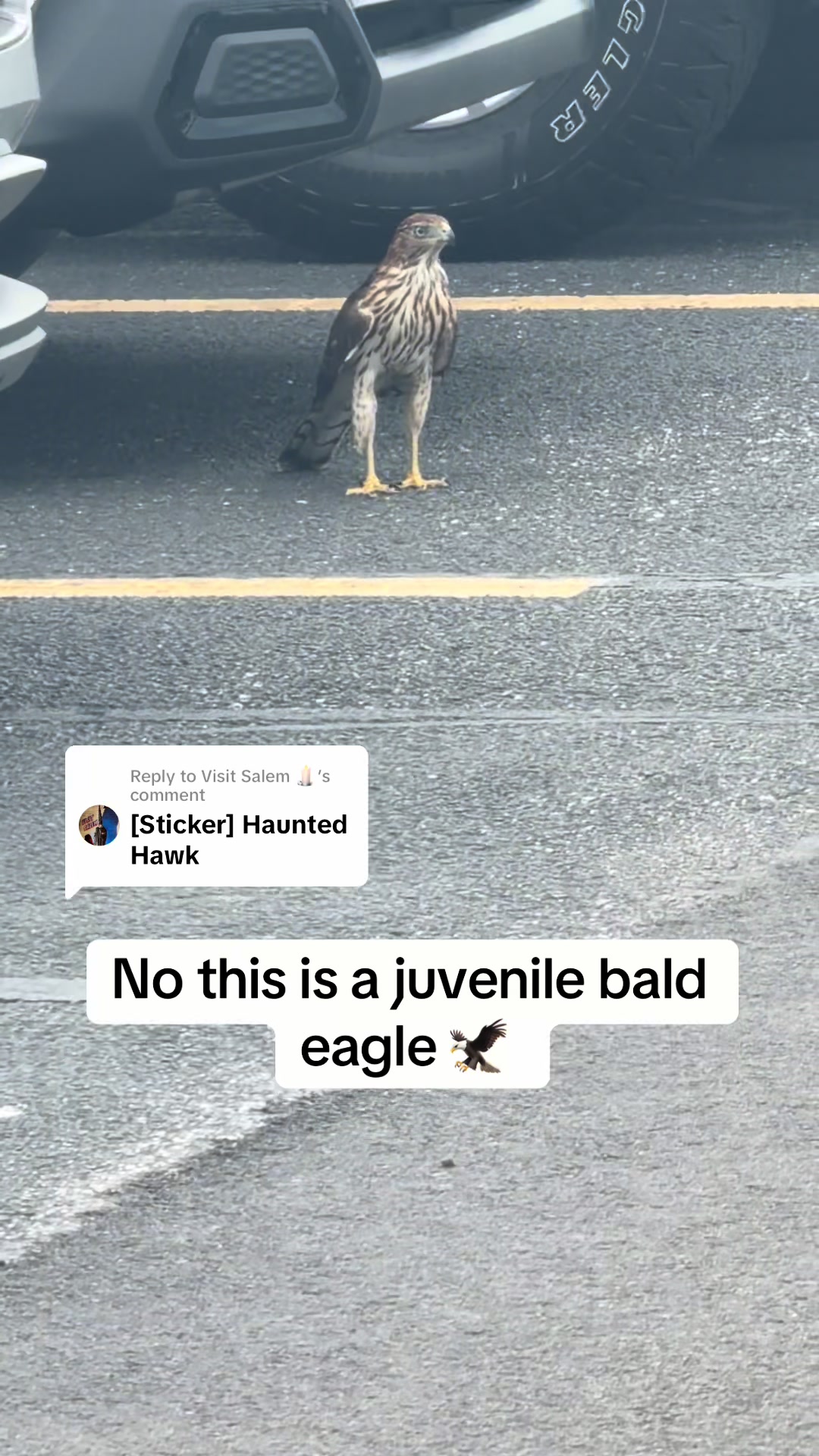 @brianjohnsadventure