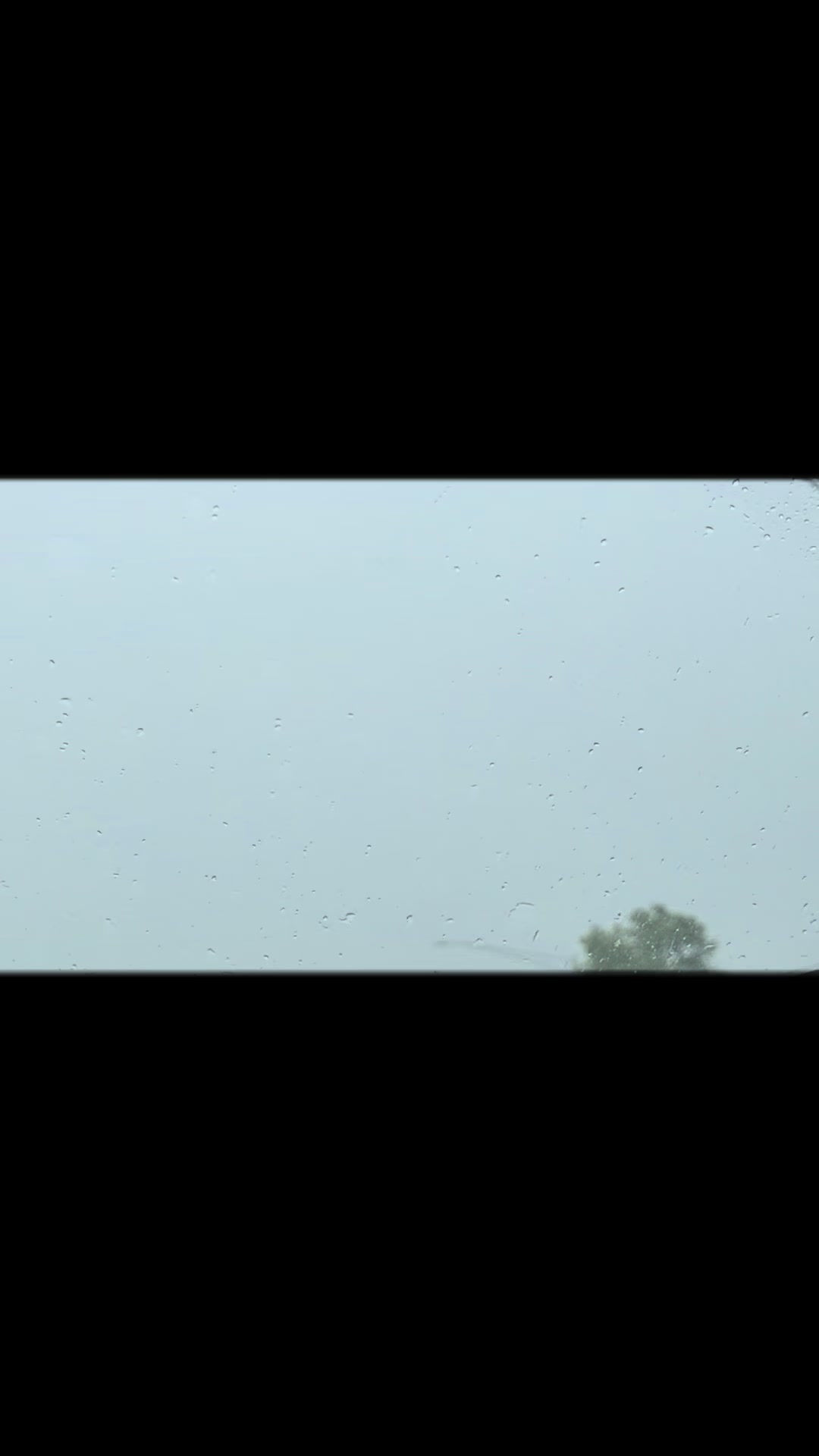 @Muzhda Sultani