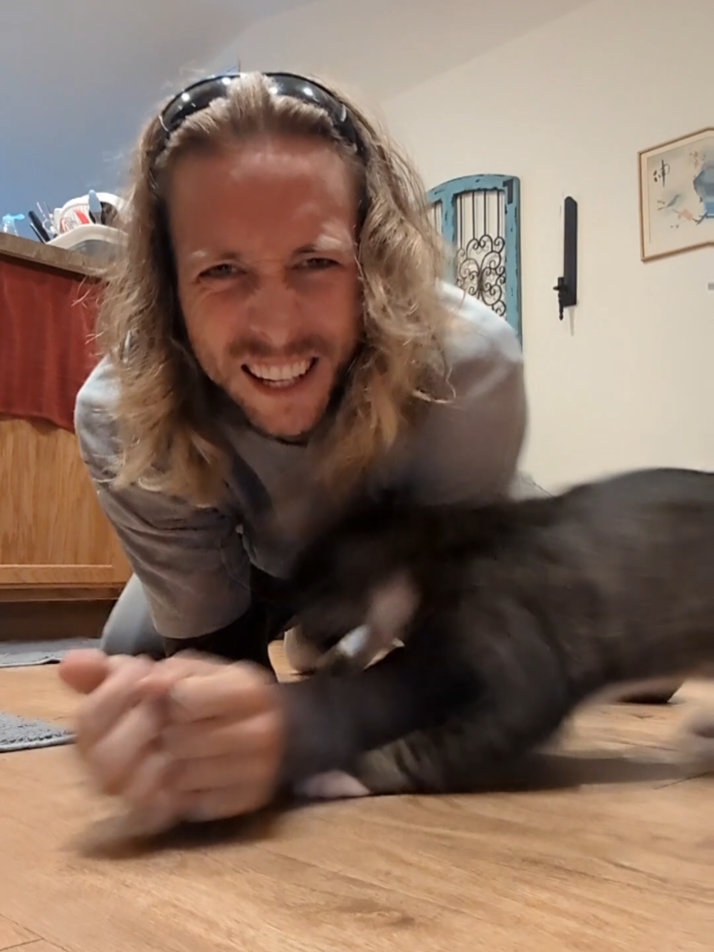 @Rainy the Cat