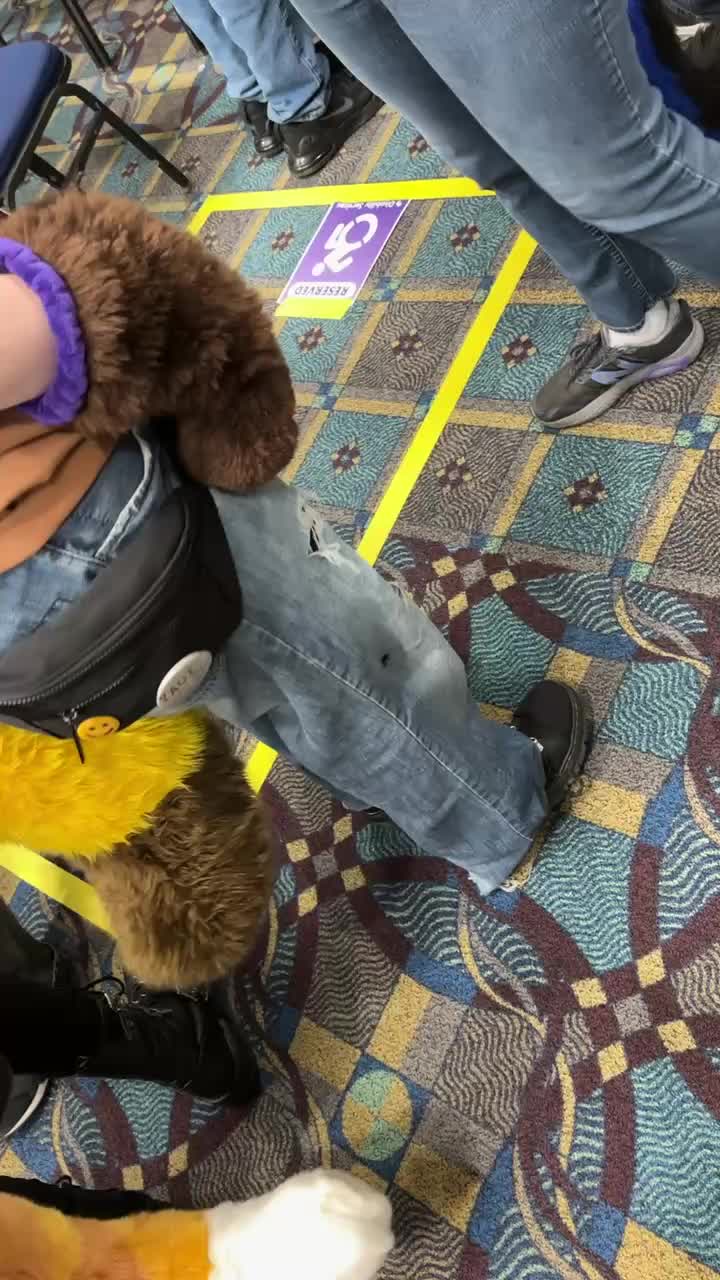 @AllyTheKitty135