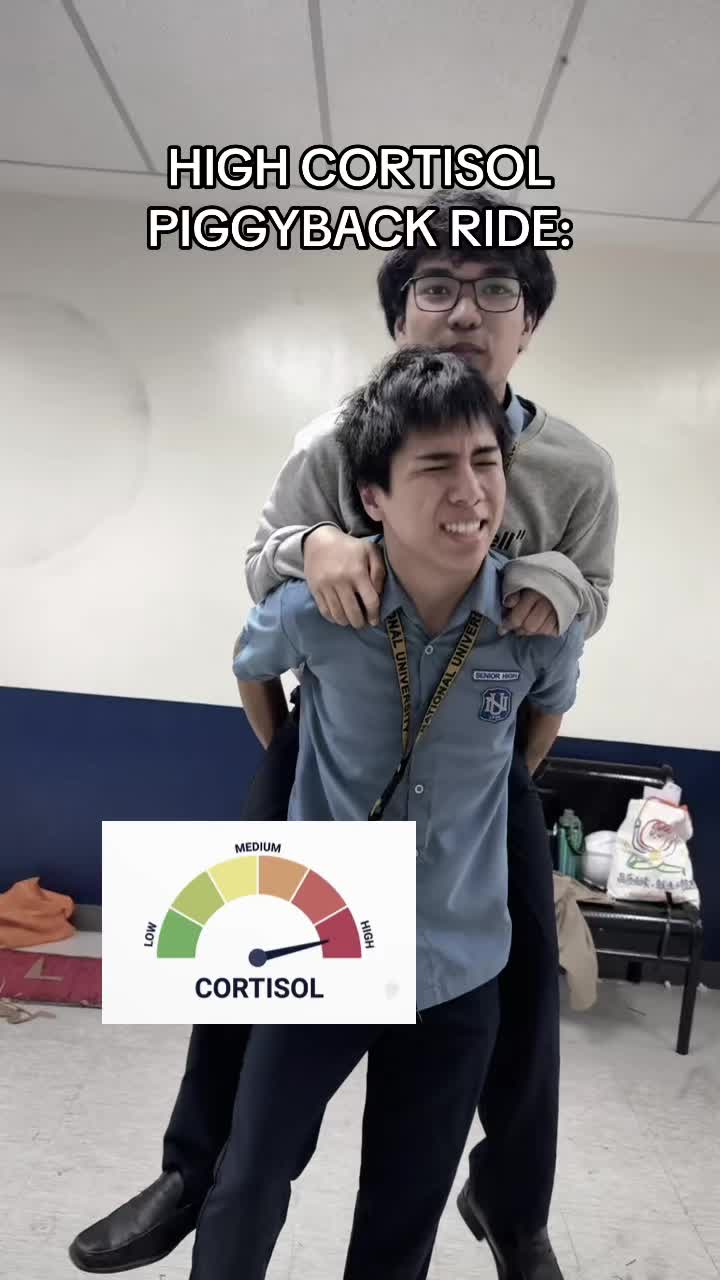 @brotato chip