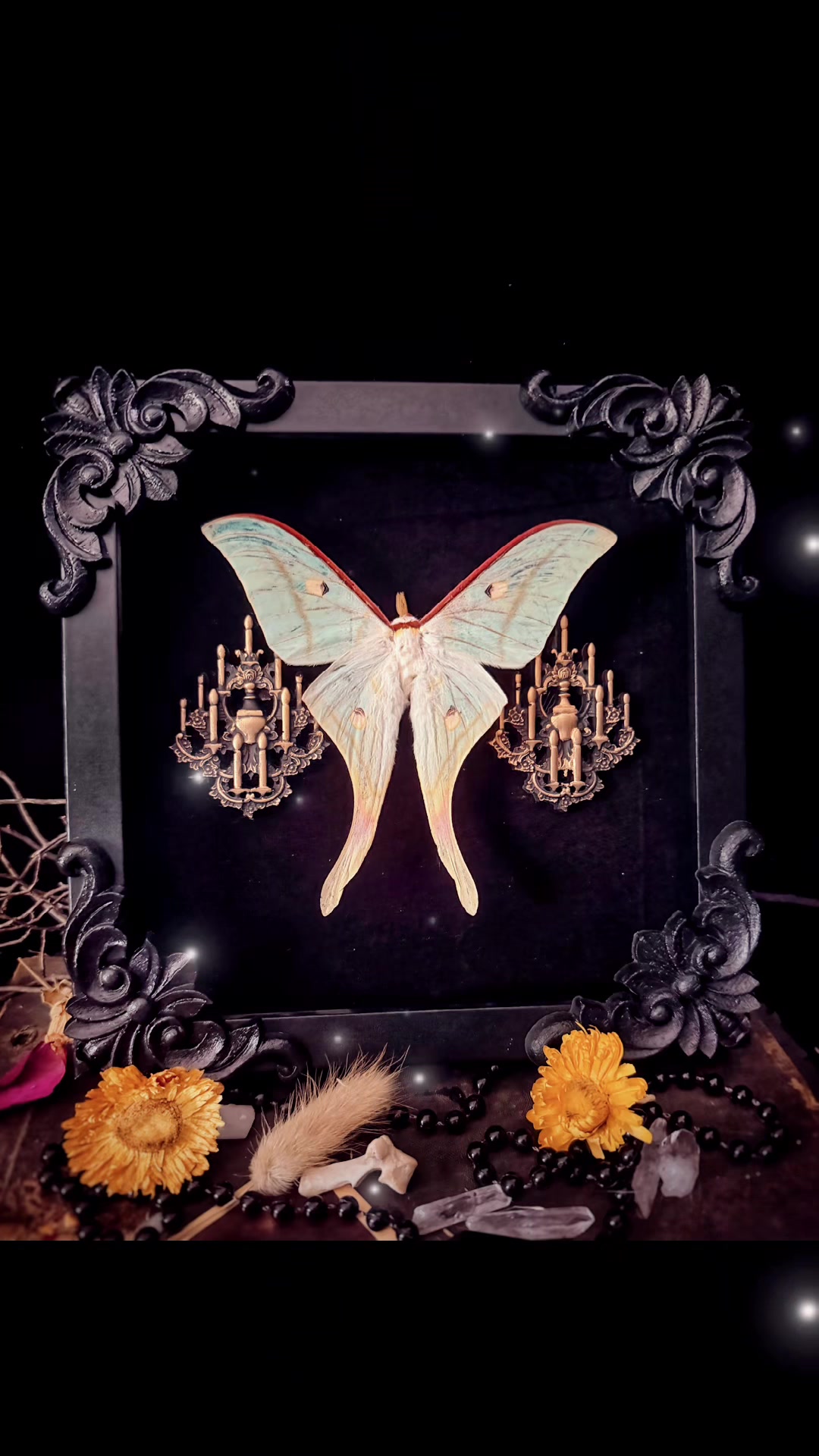 @🕯️Madame L’s Art Oddities🕯️