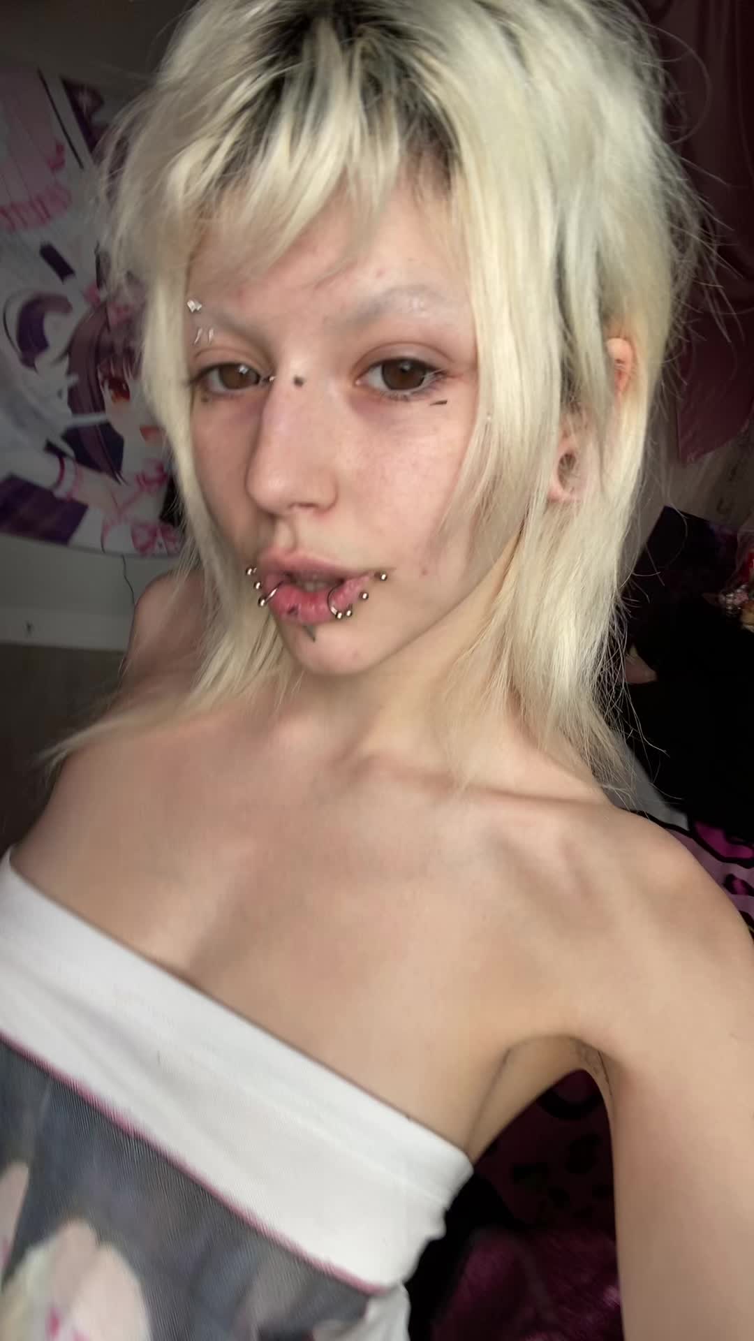 @🐾