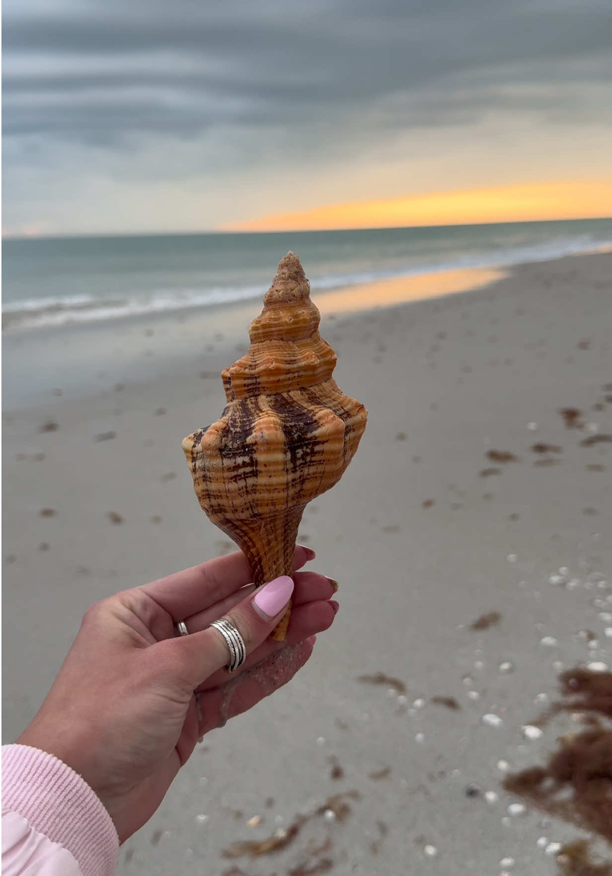 @Sanibel Sis