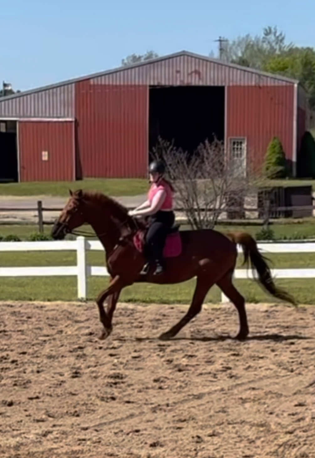 @ella_eqacc