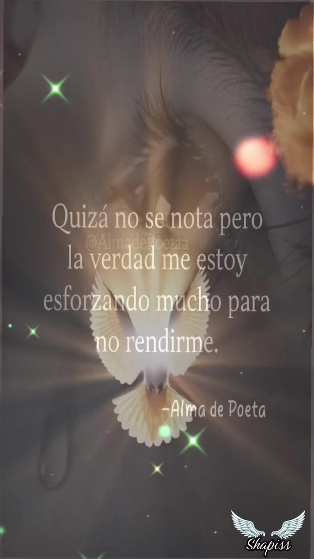 @Shapiss🕊️