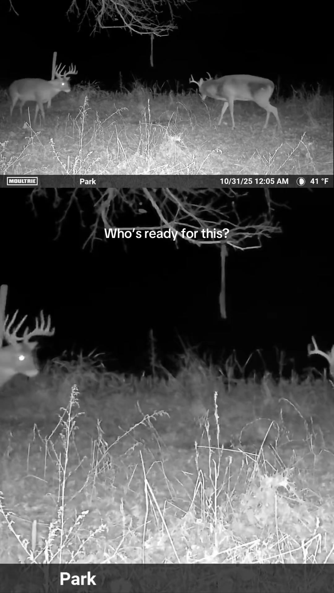 @Moultrie