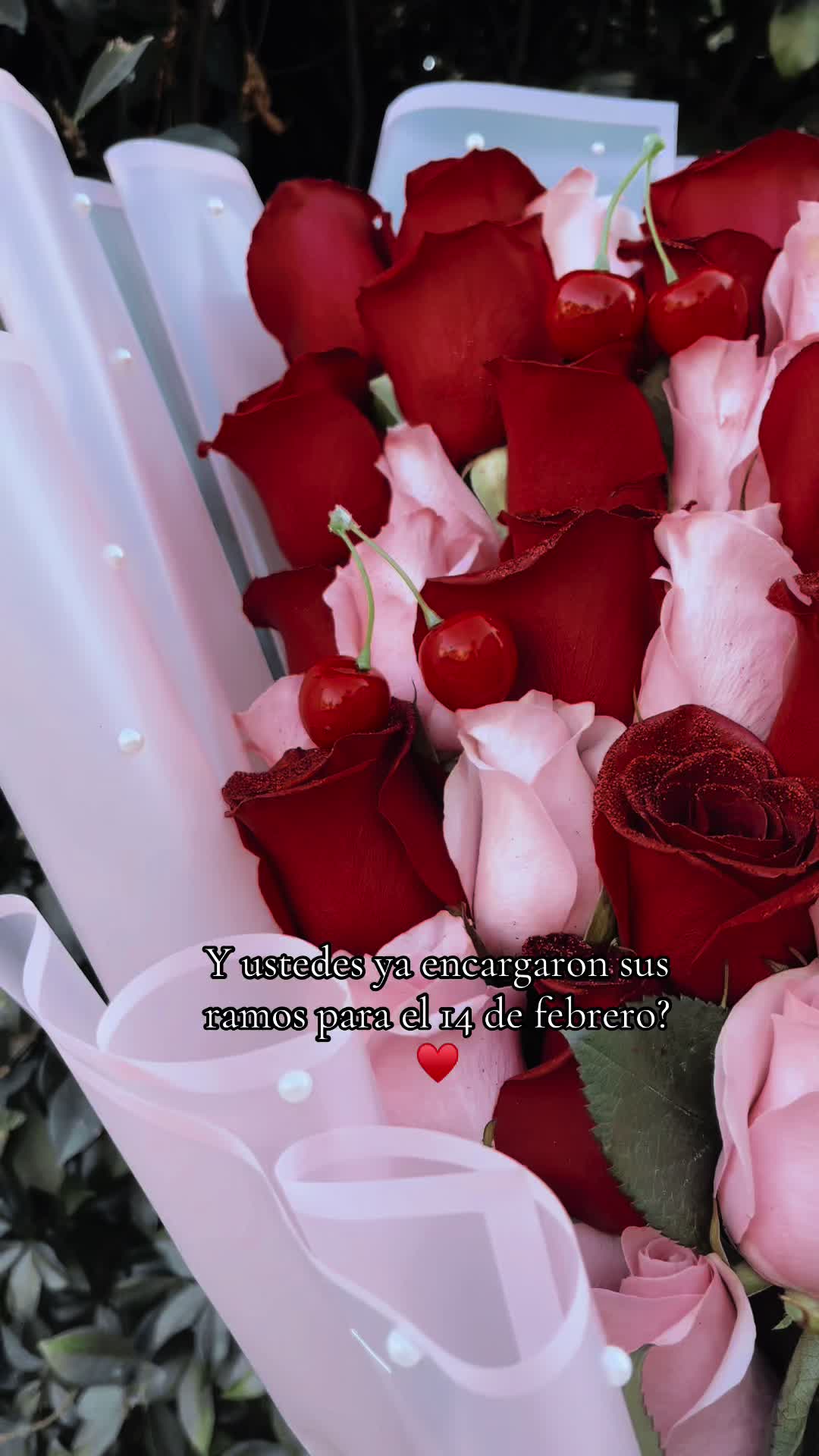 @Roses by Edith