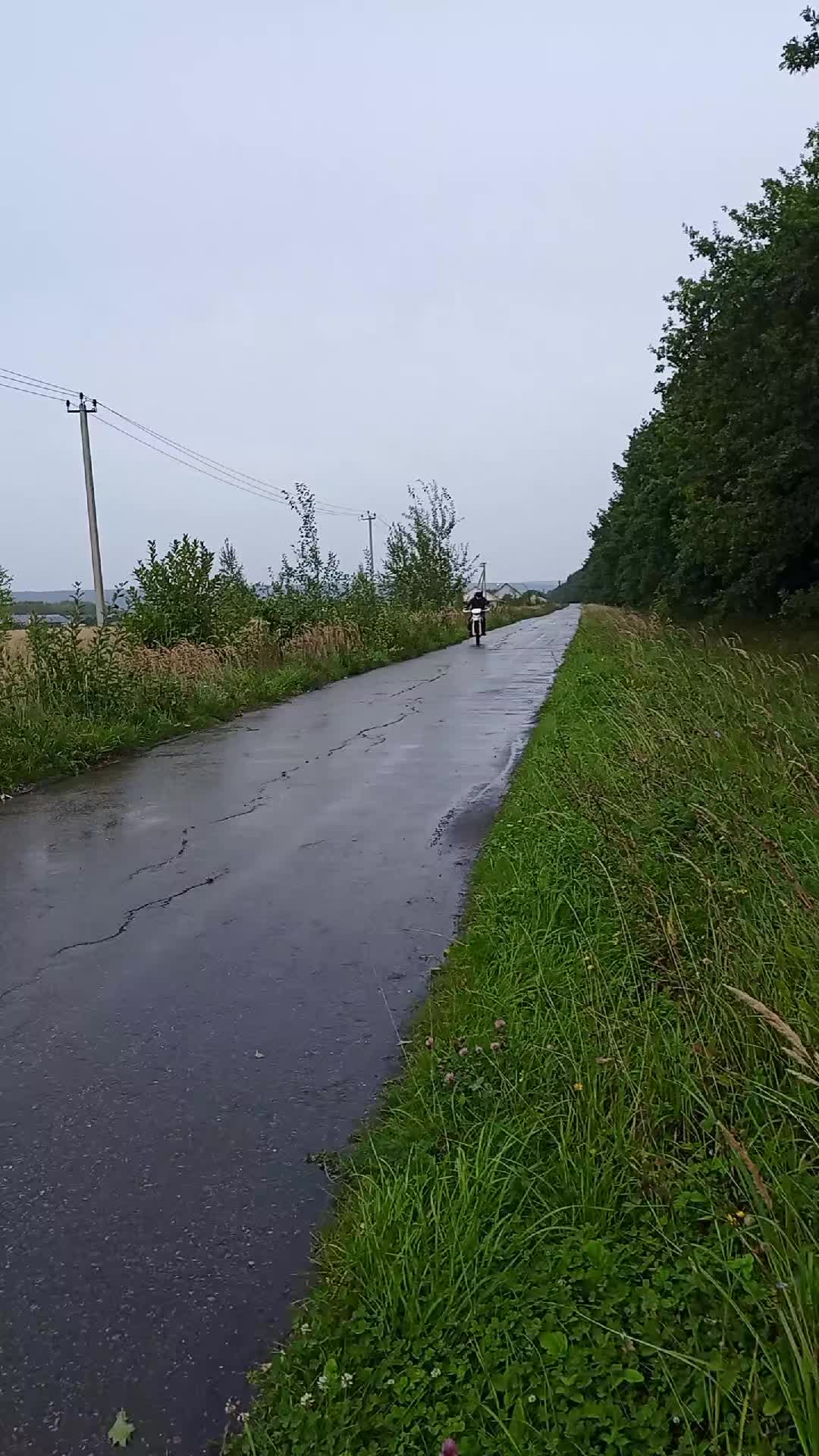 @chikenganskiy
