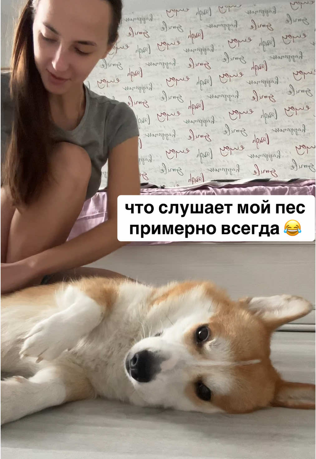 @corgimom.alntz