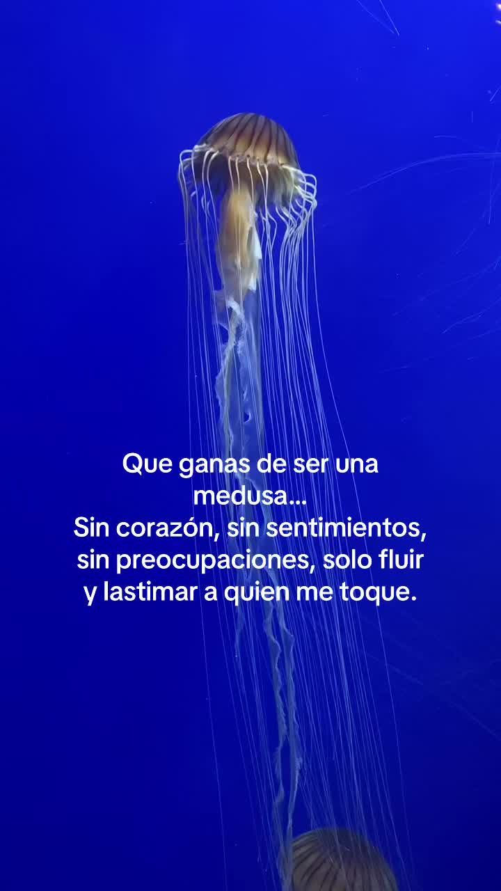 @Nata