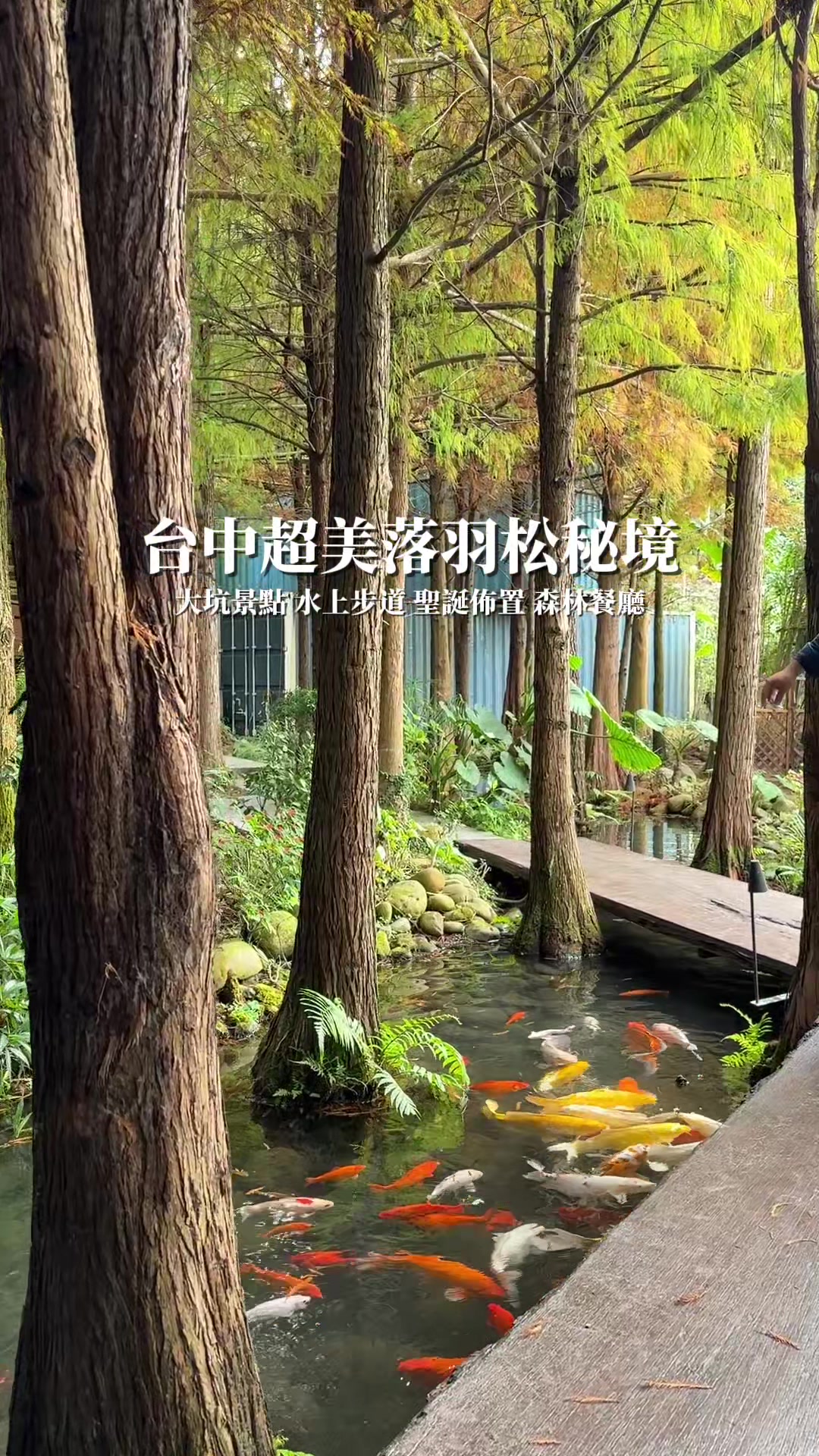 @吃貨的阿嘎