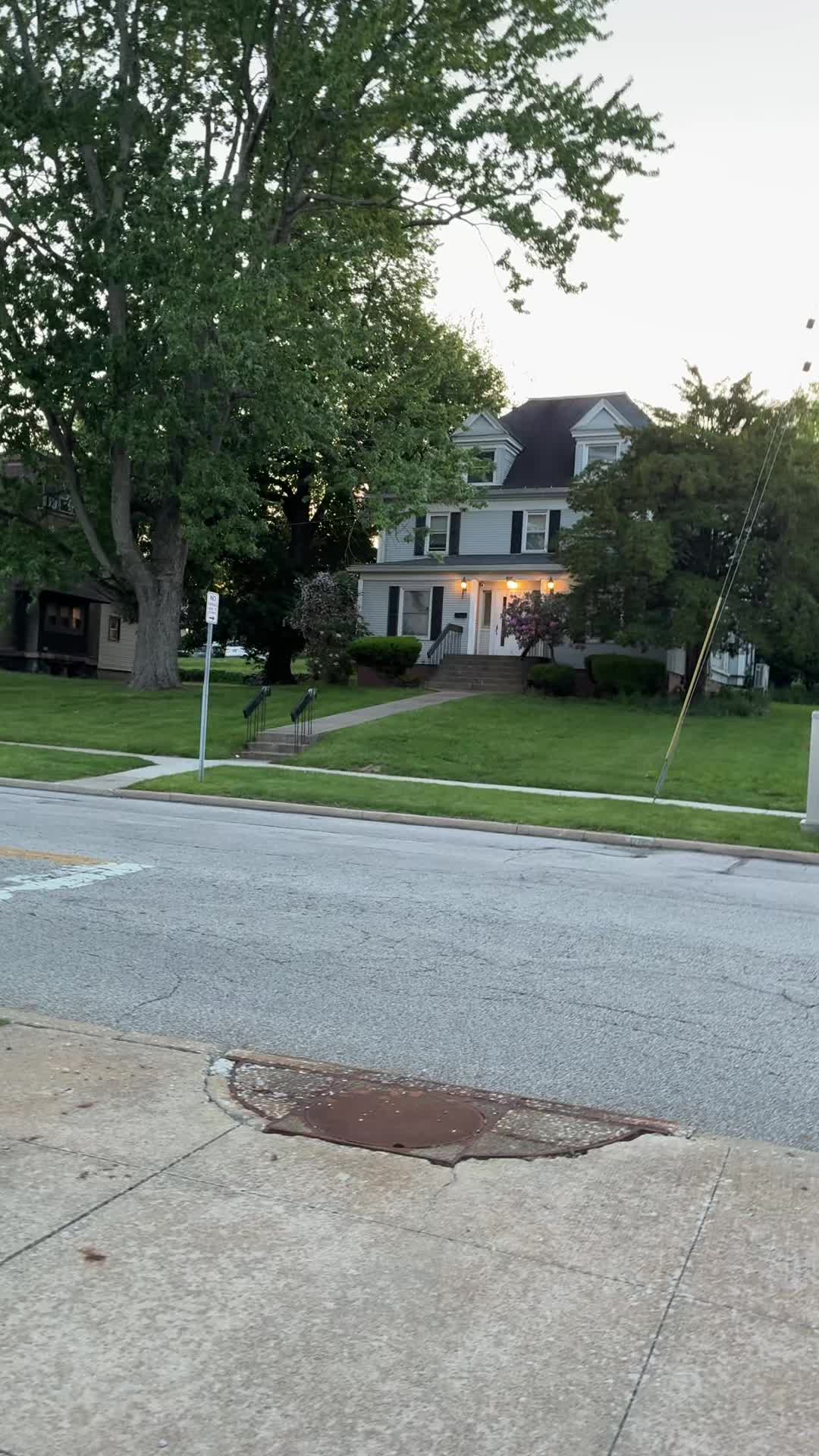 @🕷️