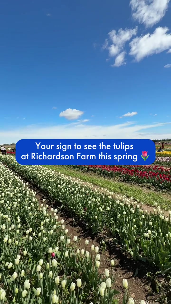 @Enjoy Illinois