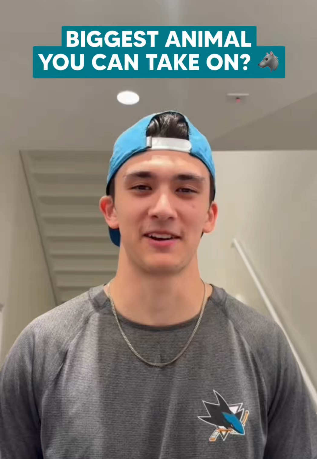 @San Jose Sharks