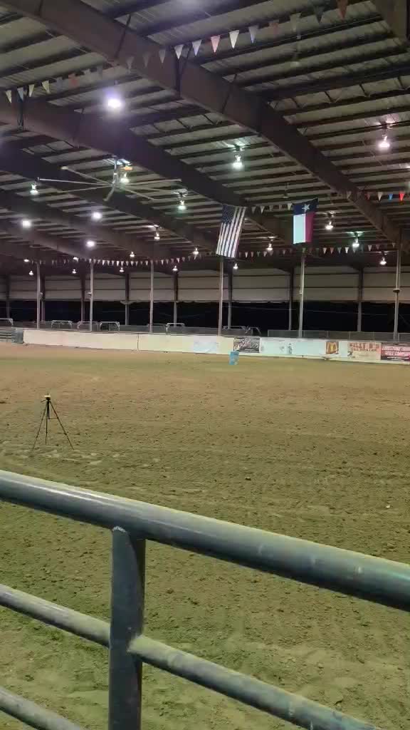 @TF Performance Horses