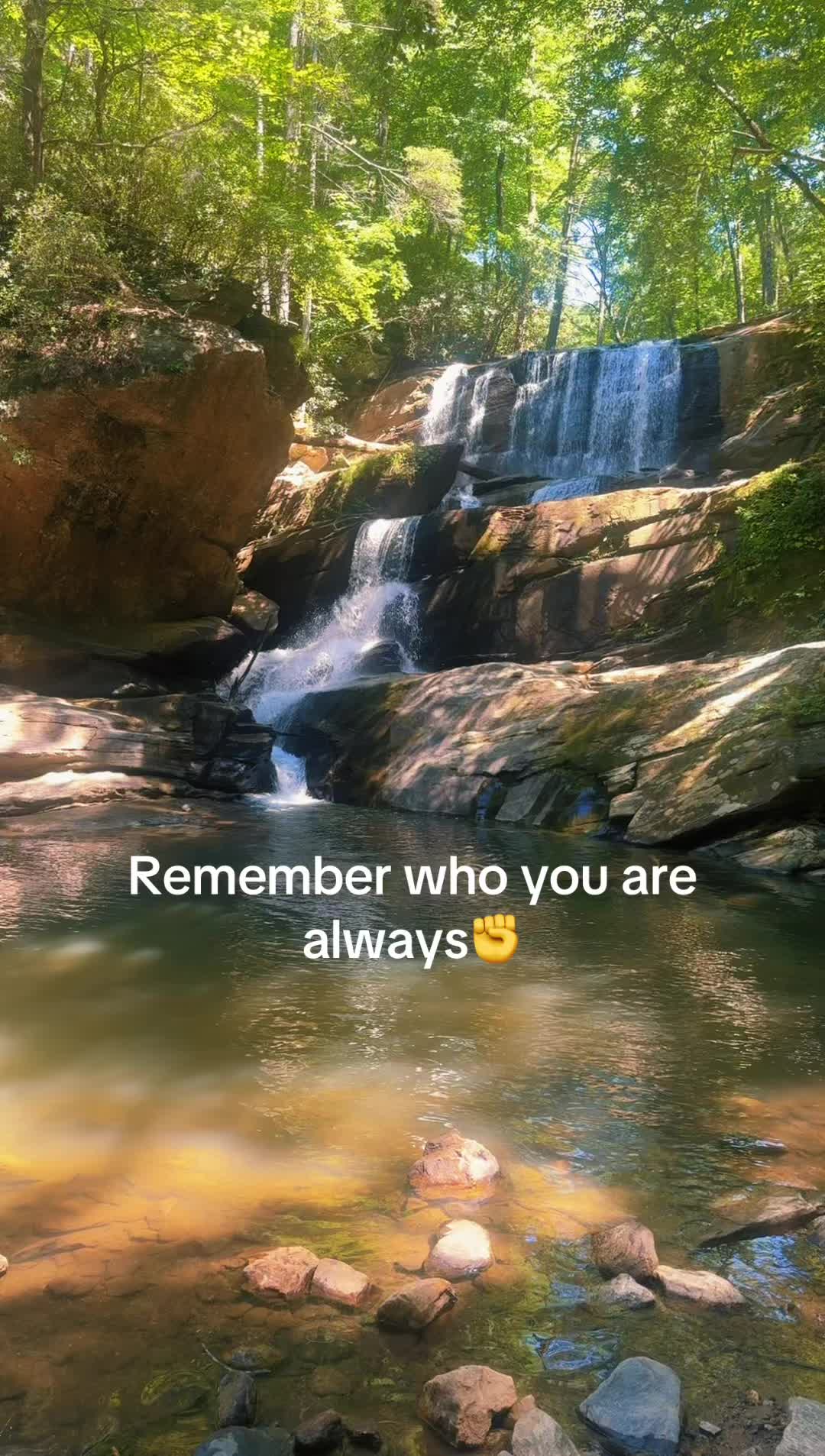 @hippyswaggab