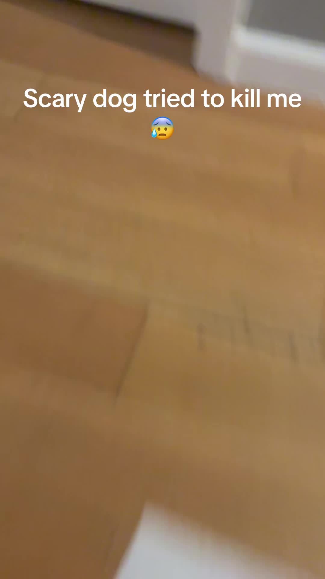 @MegaSliverfan