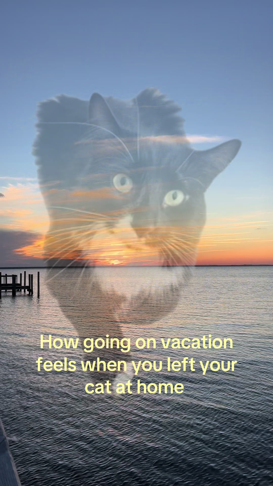 @Sydney Kirei