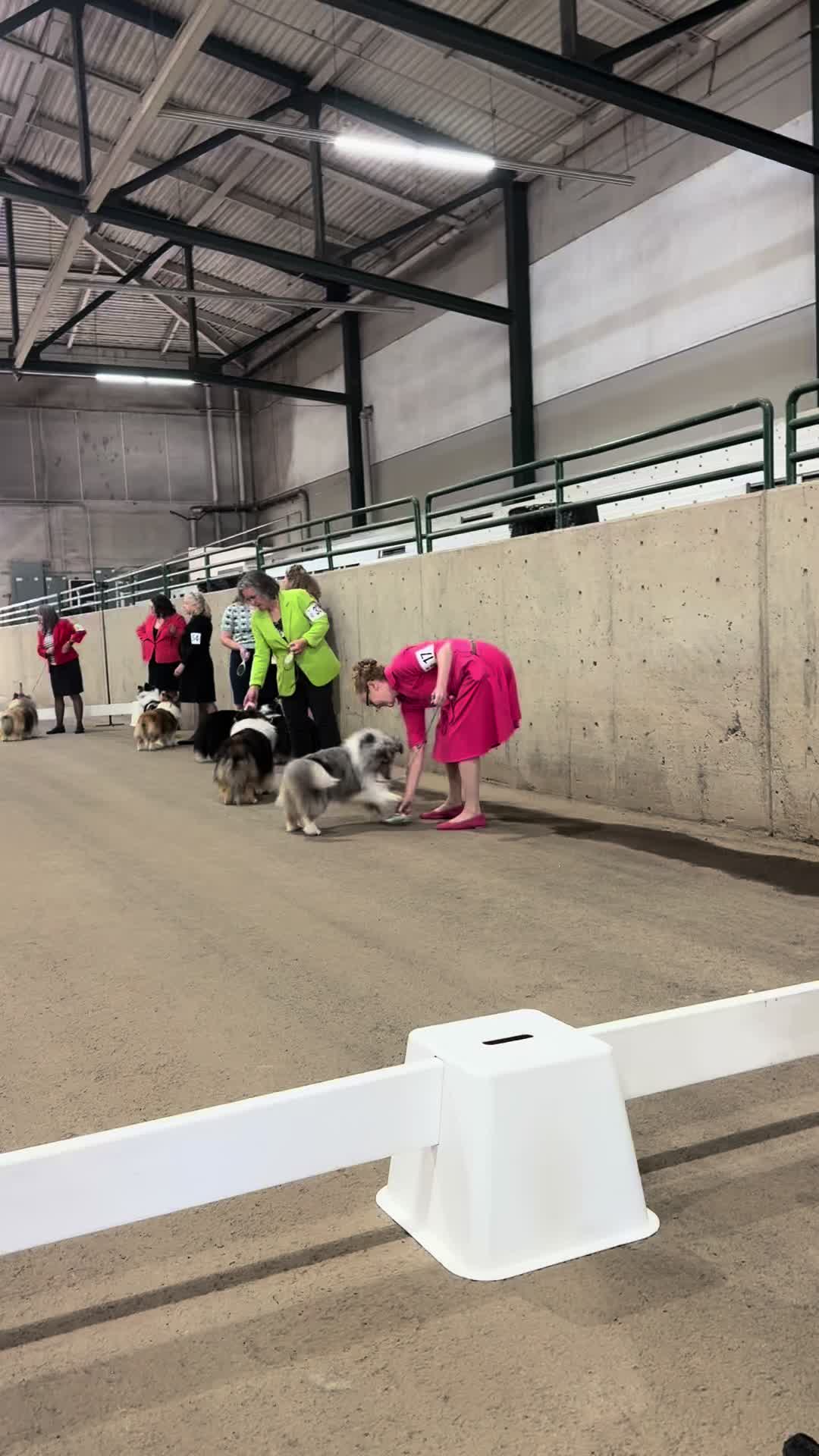 @Heather Discovery Canine Adv.