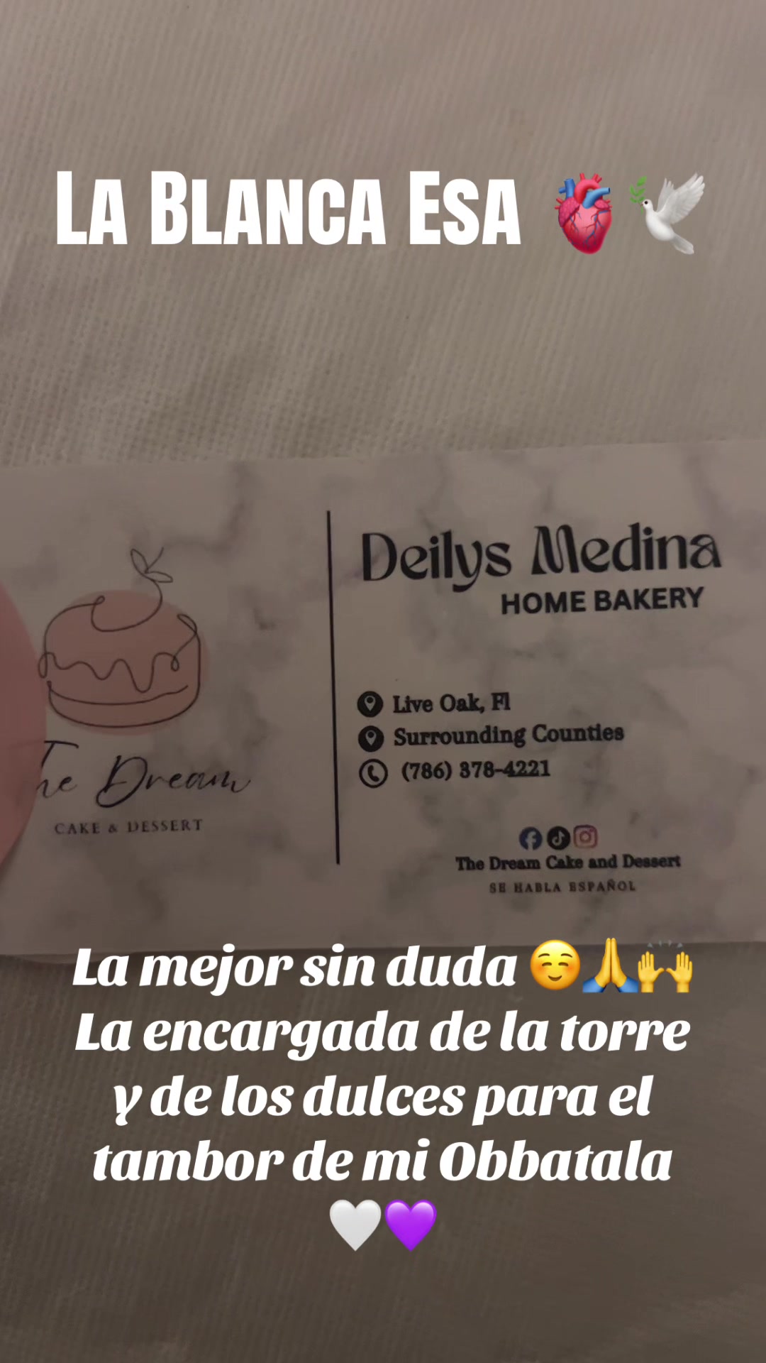 @Lacasadeeggun🤍🖤