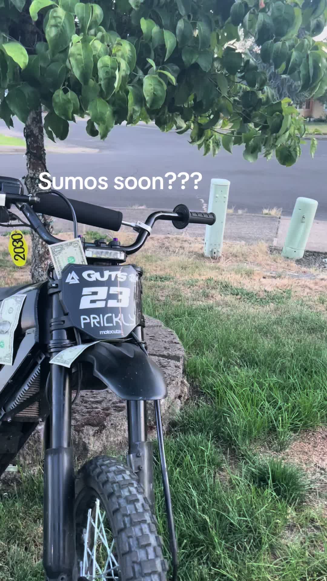@48vEmerson🐒