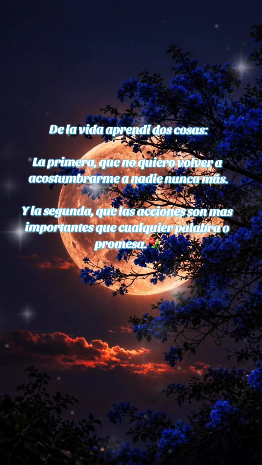 @❄️MALAGON⛧⃝𓄃LAᥫ᭡.𓂃MEXICANA🦅