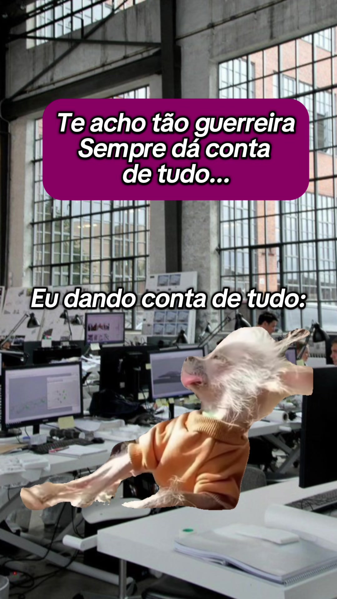 @tababadeira
