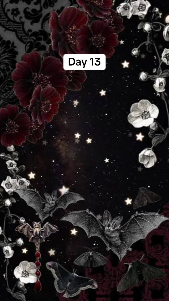 @๐ Allison ๐