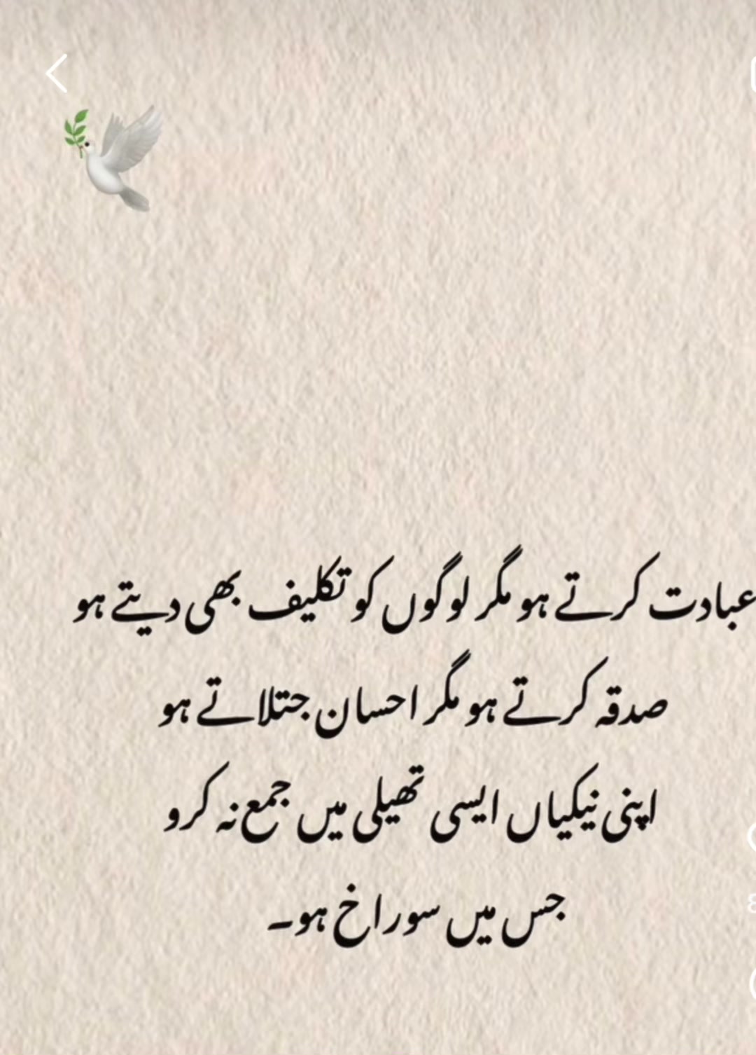 @Kash🌹