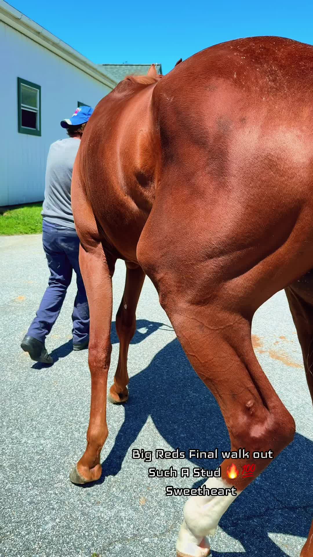 @Danigurl🦮🏇🌅🏳️&zwj;🌈